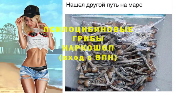 амф Кинешма