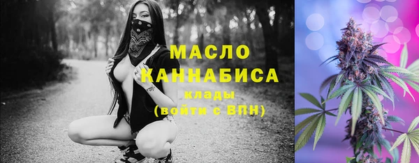 спайс Каменка