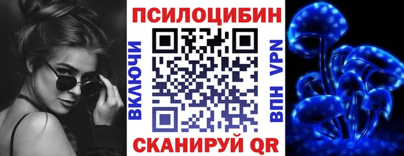 где продают наркотики  ссылка на мегу как зайти  Псилоцибиновые грибы Psilocybe  Котельники 